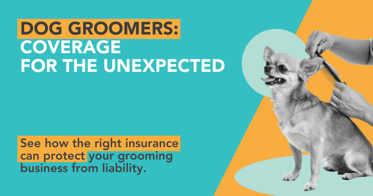a dog with a cone dog getting groomed showing the need for grooming insurance