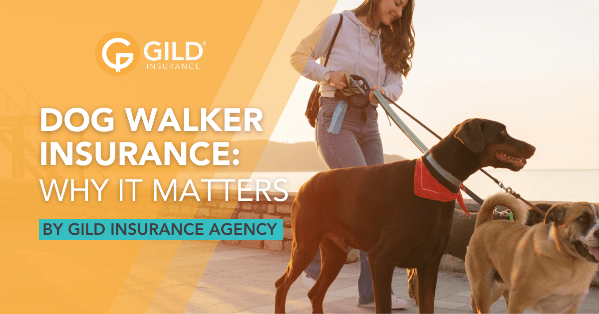 Dog Walker Insurance: Why It Matters