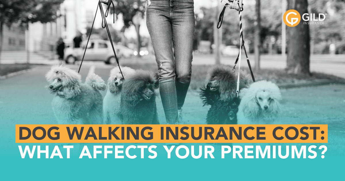 Dog Walking Insurance Cost: What Affects Your Premiums?